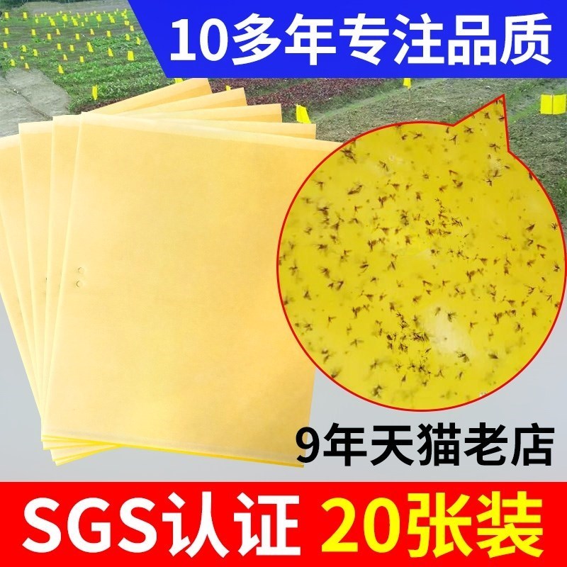 诱虫双面粘虫板纸贴黄色蚊子黏虫家用蚜虫灭虫花房粘板贴纸黄板|ruв категории доставка цветов/цветок моделирования/растения садоводства, садовых принадлежностей, других садовых принадлежностей - от Buy2taobao.com для оказания профессиональной услуги покупки агента Taobao
