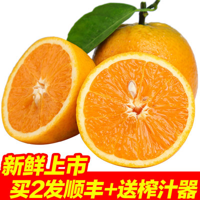 现摘夏橙5斤  孕妇榨汁手剥橙子 新鲜水果 包邮 买2送榨汁器