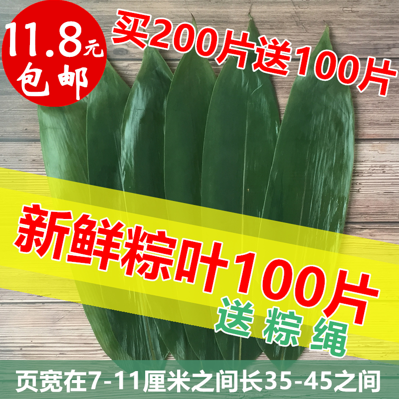 买二送一新鲜粽子叶 粽叶纯天然野生大粽叶100片包邮真空包装箬叶在类目 粮油米面/南北干货/调味品, 南北干货/肉类干货, 干货/土特产, 其它中 - 来自Buy2taobao.com提供专业的淘宝代购服务