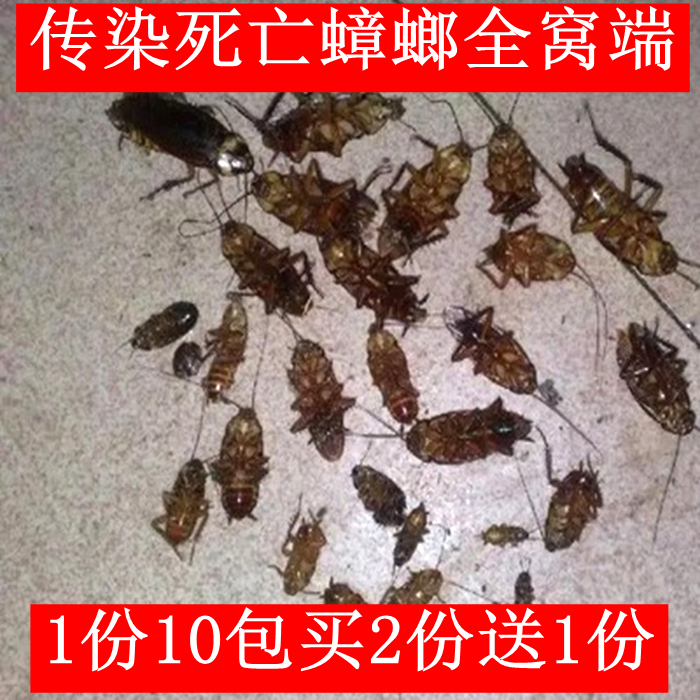 10包正品广昆蟑螂药粉一窝端家用无毒强力蟑螂克星室内厨房饭店用在类目 洗护清洁剂/卫生巾/纸/香薰, 驱虫用品, 灭鼠/杀虫剂中 - 来自Buy2taobao.com提供专业的淘宝代购服务
