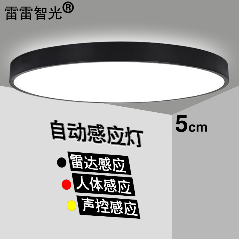 声控灯LED吸顶灯楼道过道走廊车库家用物业灯智能雷达人体感应灯在类目 家装主材, 灯具灯饰, 小夜灯中 - 来自Buy2taobao.com提供专业的淘宝代购服务