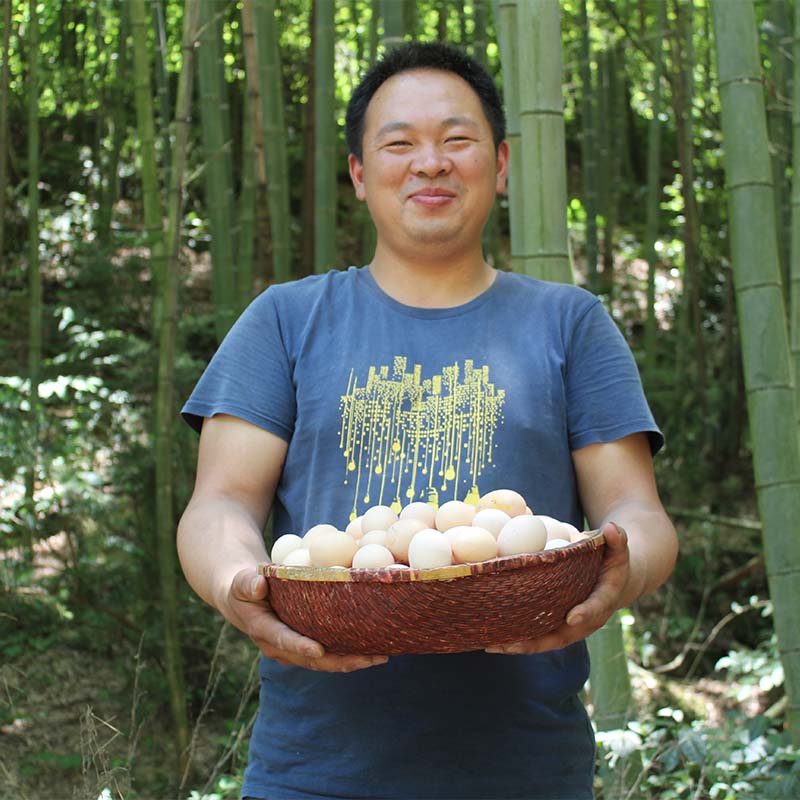 三渡河土鸡蛋农家散养草鸡蛋新鲜50枚柴鸡蛋山林放养笨鸡蛋白水蛋在类目 水产肉类/新鲜蔬果/熟食, 蛋/蛋制品, 鲜活蛋类, 鸡蛋中 - 来自Buy2taobao.com提供专业的淘宝代购服务