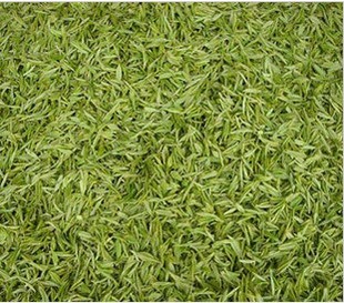  年安吉白茶明前一级安吉高山白茶 50克-100克半斤包邮