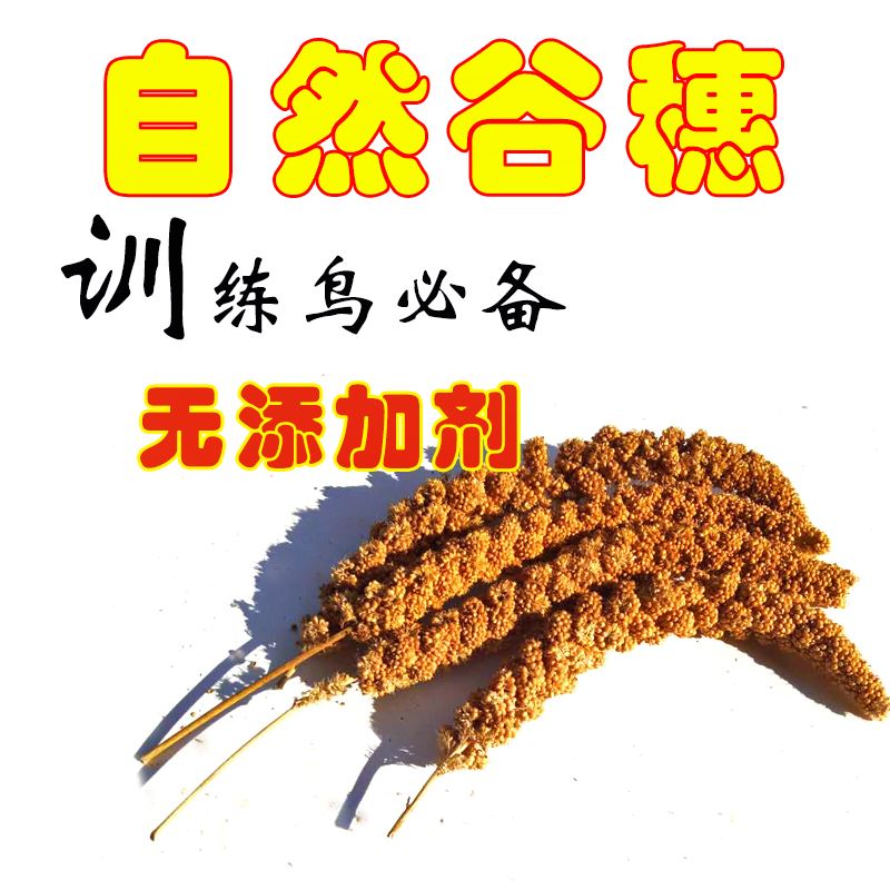 Natural icker parrot Nutrition foodstuff Go for a walk in a quiet place with a bird Toy 1 1)in the Pet/Pet food and supplies , Birds and supplies , Bird food category - from Buy2taobao.com to provide professional Taobao agent buy service