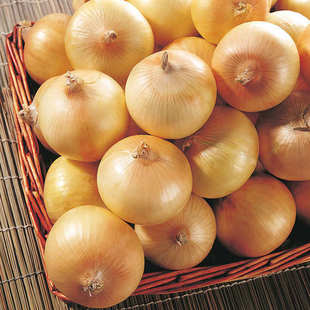  沃庄园 精品黄洋葱500g  新鲜蔬菜 防癌抗癌 今日特价秒杀菜市场