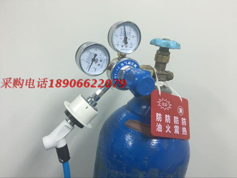 National standard German standard transformation Dual table Pressure relief valve National standard Aerospace oxygen terminal Gas source socketin the Hardware/Tool , Instrumentation , Pressure gauge category - from Buy2taobao.com to provide professional Taobao agent buy service
