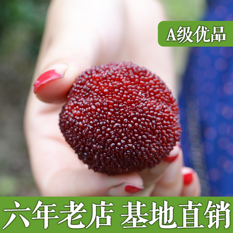 正宗仙居杨梅东魁杨梅新鲜水果孕妇特级大杨梅赛慈溪余姚杨梅1A级在类目 水产肉类/新鲜蔬果/熟食, 新鲜水果, 其它中 - 来自Buy2taobao.com提供专业的淘宝代购服务