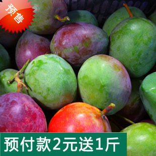  预售预定攀枝花热带新鲜芒果水果吉禄比海南泰国芒果好吃似苹果芒