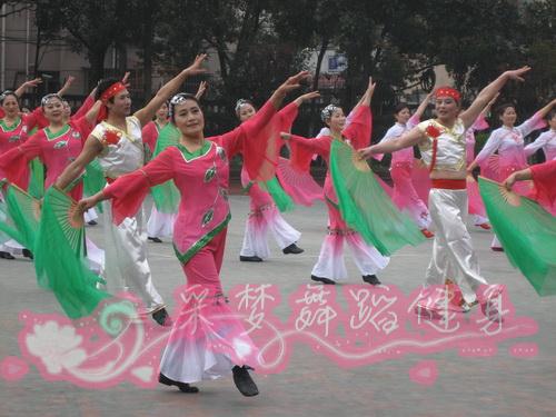 舞蹈长扇子绿色跳舞扇加长双层纱扇 三套/五套 秧歌扇 广场舞扇子