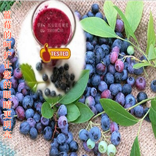 蓝莓汁 野生无糖蓝莓原浆 蓝莓果浆蓝莓果汁眼病克星小腻腻推荐|ruв категории закуски/орехи/специальность, кандирование/унаби/Мэй/сухофрукты, черника - от Buy2taobao.com для оказания профессиональной услуги покупки агента Taobao
