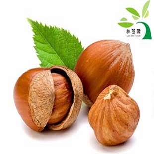  东北特产铁岭榛子 250克3包免邮 美国大榛子仁原味原生态包邮特价