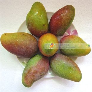  海南三亚 小贵妃芒 芒果/新鲜水果 树上熟 汁多味甜10斤包邮 推荐