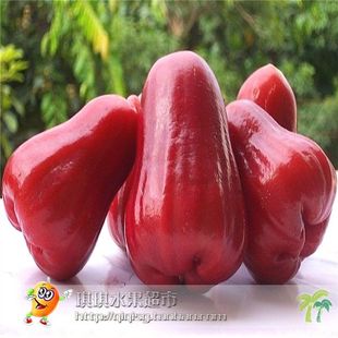  海南三亚 新鲜莲雾 黑金刚  黑珍珠 脆嫩清甜 新鲜水果 6斤包邮