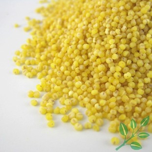  小米 小黄米 月子米 沁州黄小米 山西特产 贡米 农家杂粮 500克