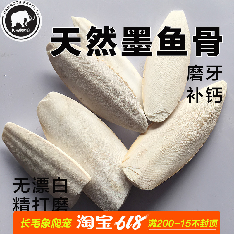天然補鈣精致打磨墨魚骨 陸龜水龜爬蟲鹦鹉鳥刺猬補鈣磨牙烏賊骨在類目 寵物/寵物食品及用品, 水族世界, 觀賞龜/鱉飼料中 - 來自Buy2taobao.com提供專業的淘寶代購服務