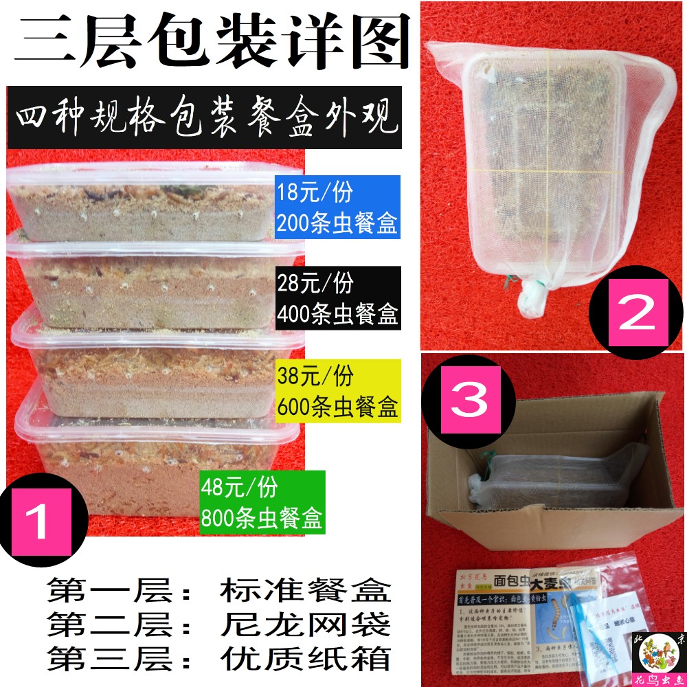 实惠款活面包虫黄粉虫1cm2cm3cm包装防逃非边远包活免运费北京发|msdalam kategori haiwan peliharaan/makanan haiwan dan bekalan, Reptilia/Serangga dan bekalan Ming, Reptilia/Serangga makanan Ming - dari Buy2taobao.com untuk memberikan perkhidmatan ejen Taobao profesional membeli