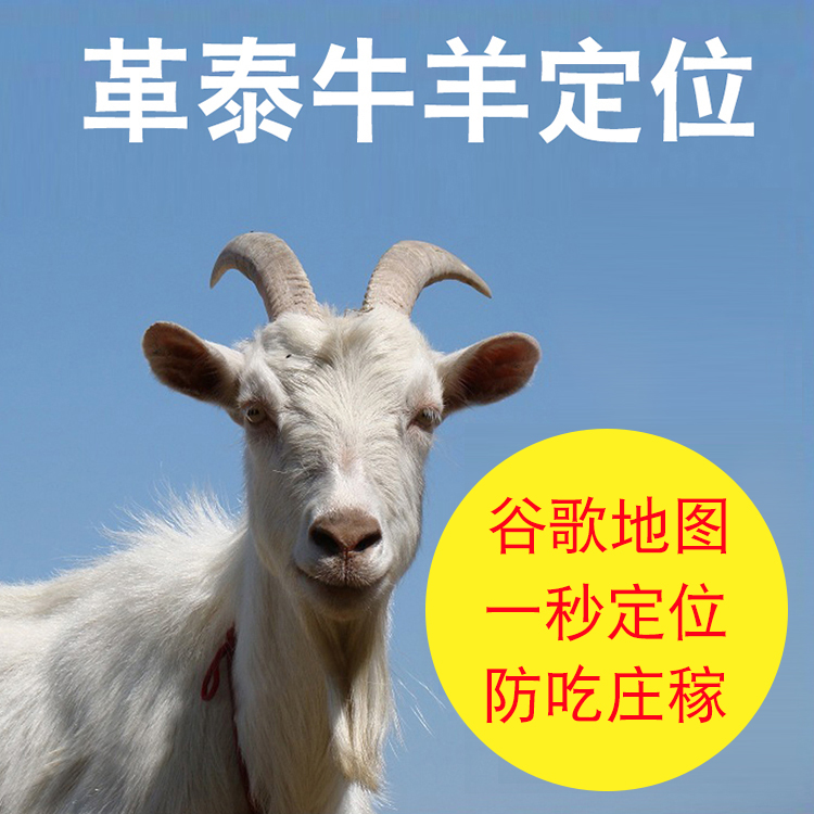 革泰羊用定位器GPS防丢防水动物定位仪牛羊马超长待机追踪器项圈|msdalam kategori kereta/artikel/Fitting/Refit, Audio & Video kereta/elektronik automotif/elektrik, Automotif keselamatan anti-kecurian elektronik, Tracker - dari Buy2taobao.com untuk memberikan perkhidmatan ejen Taobao profesional membeli