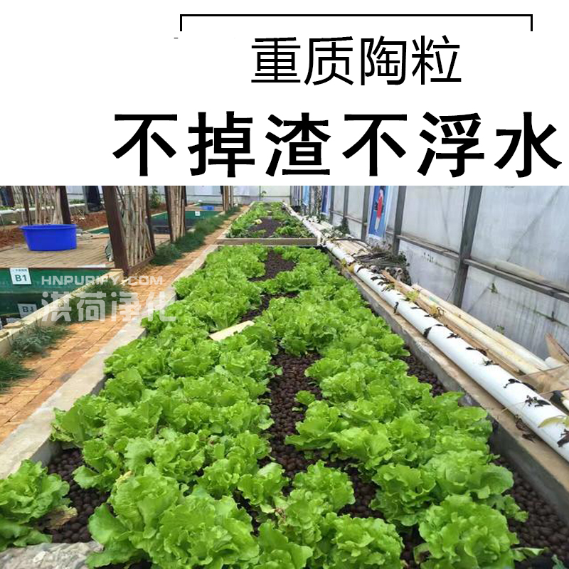 鱼菜共生陶粒沉水重质水培生物陶砾花卉无土栽培专用培营养土值|msdalam kategori penghantaran bunga/bunga simulasi/tumbuhan berkebun, Gardening Supplies, baja rumah berkebun/tanah pemakanan/penyelesaian nutrien - dari Buy2taobao.com untuk memberikan perkhidmatan ejen Taobao profesional membeli