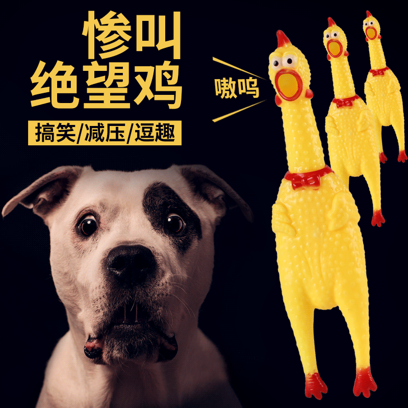 惨叫鸡 尖叫鸡 怪叫鸡发泄鸡 整人整蛊发声狗狗宠物玩具 发声玩具在类目 宠物/宠物食品及用品, 猫/狗玩具, 发声玩具中 - 来自Buy2taobao.com提供专业的淘宝代购服务