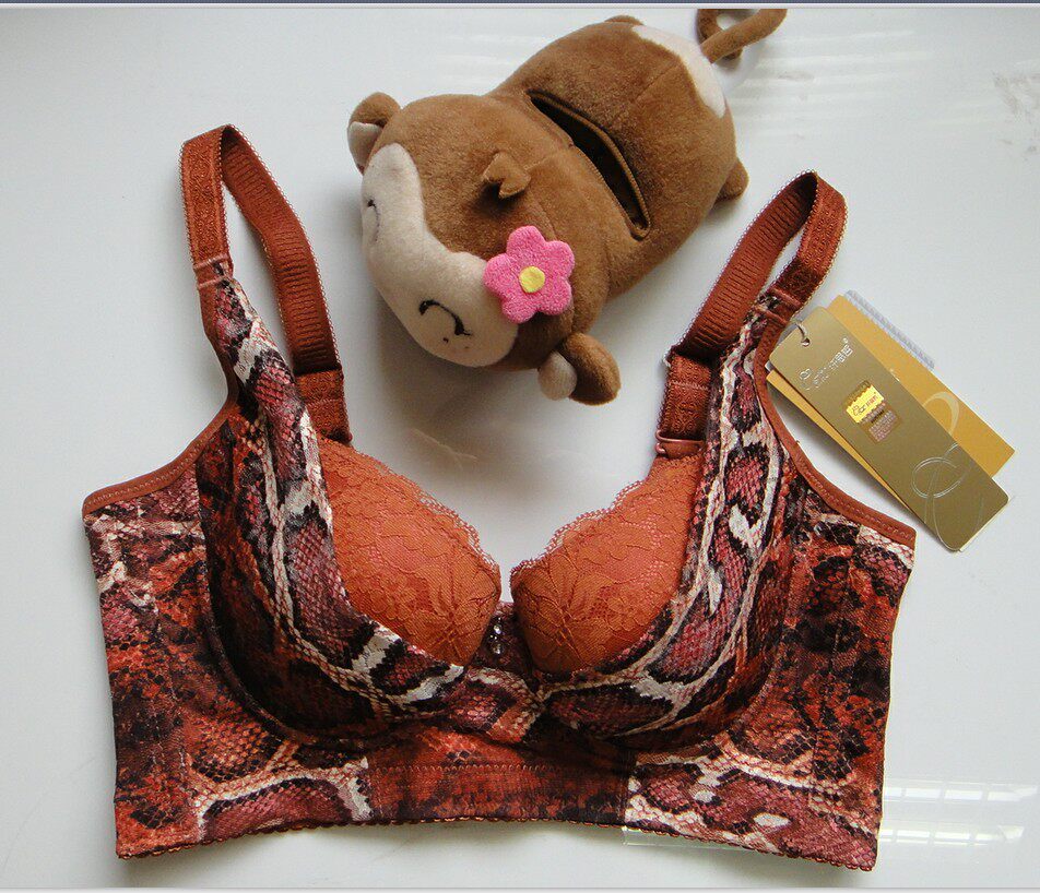 纤思哲 <em>超厚</em>精油<em>文胸</em>_yuli156_新浪博客