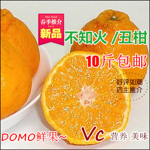  10斤包邮 不知火/丑柑 新鲜水果 柑橘 桔子脆甜 有机美味 四川摘