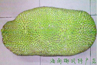  海南水果菠萝蜜/海南热带水果菠萝蜜/新鲜菠萝蜜20斤包邮
