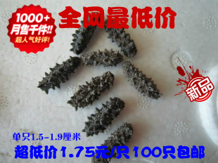  思铭野生海参淡干/无添加小海参长1.5-1.9cm/1.75元/只100只包邮