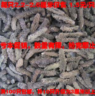  思铭海参/亏本做活动/特价野生淡干海参/海参干货/ 刺参/1.5元/只
