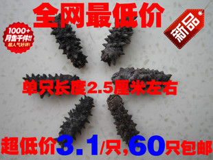  思铭野生纯淡干海参/海参干货/无盐无糖 刺参2.5cm左右/3.1一只