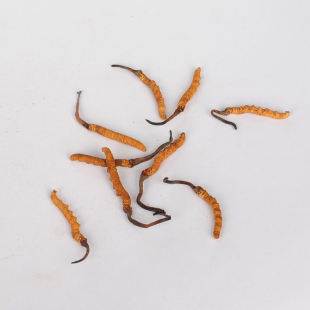  【华鹊堂】特级精选西藏那曲冬虫夏草送礼首选冬虫夏草3根/克包邮