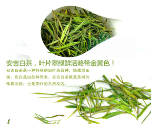  新茶安吉白茶特级礼盒装 非福鼎茶叶白毫银针珍稀 试喝装