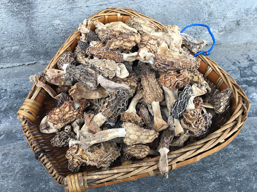 He Shan Zhen Orthodox school wild Morel mushroom Morel mushroom 100g new goodsin the Agri rice/Dried foods/Condiment , Dried foods/Meat Dry , Dry/Native , Other category - from Buy2taobao.com to provide professional Taobao agent buy service