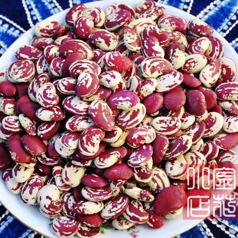 云南大理农家荷包豆大花豆肾豆五谷杂粮花芸豆煲汤熬粥500克在类目 粮油米面/南北干货/调味品, 米/面粉/杂粮, 豆类, 其它中 - 来自Buy2taobao.com提供专业的淘宝代购服务