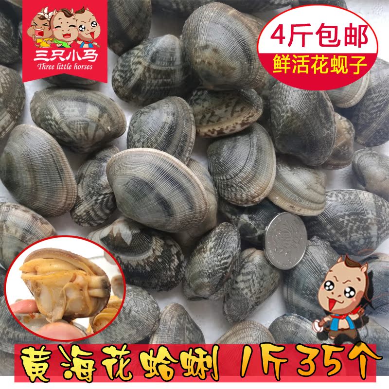 【三只小马】丹东鲜活花蛤蜊 花蚬子新鲜杂色蛤500g贝类海鲜水产在类目 水产肉类/新鲜蔬果/熟食, 海鲜/水产品/制品, 贝类, 贝类制品中 - 来自Buy2taobao.com提供专业的淘宝代购服务