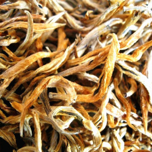  红茶高香型 醉金蜜云南特级滇红茶 金丝蜜香单芽金芽有机红茶