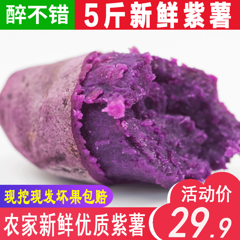 农家紫薯新鲜番薯地瓜板栗味红薯小紫薯蜜薯当季蔬菜香甜软糯包邮在类目 水产肉类/新鲜蔬果/熟食, 新鲜蔬菜/蔬菜制品, 新鲜蔬菜, 番薯中 - 来自Buy2taobao.com提供专业的淘宝代购服务