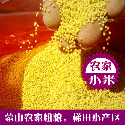Small yellow rice fresh rice Millet gruel Farm The month m Monsanto edible millet specialty Porridge pregnant woman baby 250gin the Agri rice/Dried foods/Condiment , Meter/Flour/Grains , Rice , Millet category - from Buy2taobao.com to provide professional Taobao agent buy service