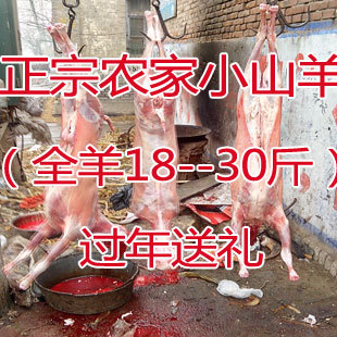  过年送礼 农家散养正宗 新鲜无注水 干的 小全羊 羊肉 羊腿 羊排