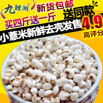 买4送1包邮 新鲜贵州小薏米 薏米仁薏仁米苡仁五谷杂粮粗粮油500g