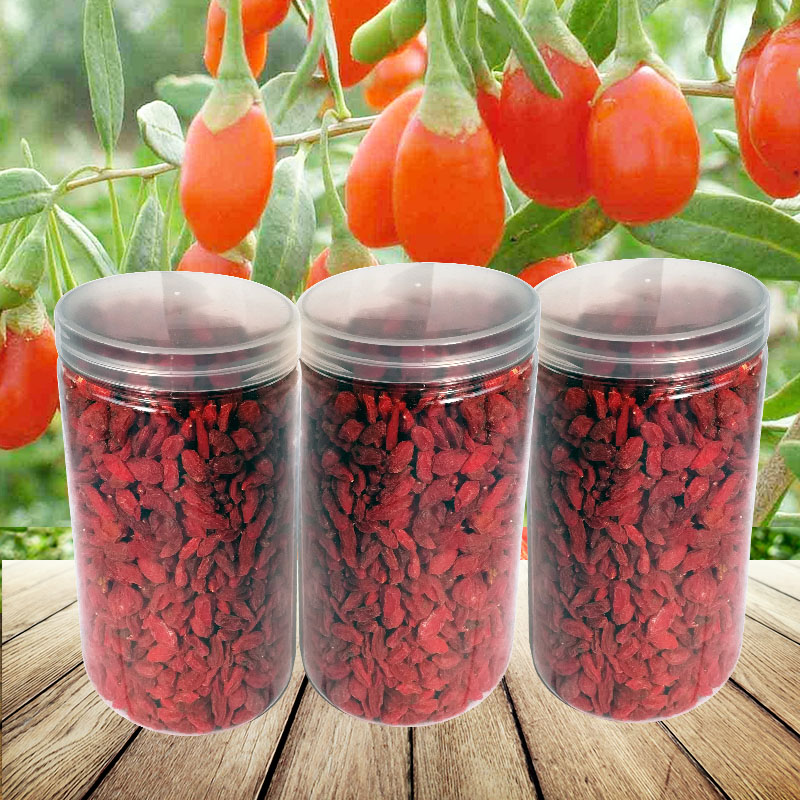 Orthodox school Xinjiang Jinghe Medlar 250g Ningxia Qinghai Wolfberry 50g*5in the Traditional nourishing food , Wolfberry and its products , Wolfberry category - from Buy2taobao.com to provide professional Taobao agent buy service