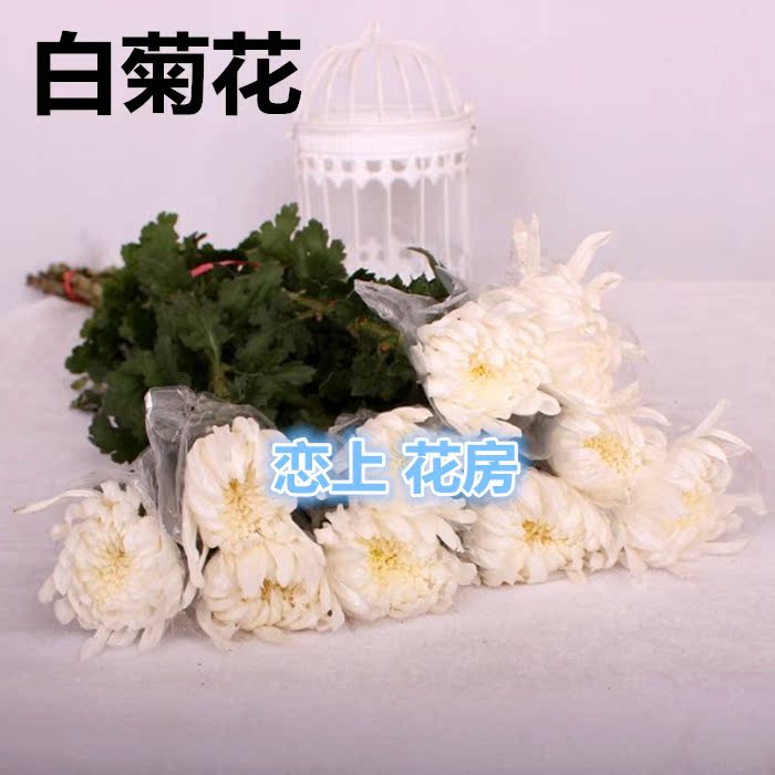 清明节祭祖菊花黄菊花鲜花白菊花鲜花扫墓丧事用全店2扎空运包邮在类目 鲜花速递/花卉仿真/绿植园艺, 追悼/奠仪用花中 - 来自Buy2taobao.com提供专业的淘宝代购服务
