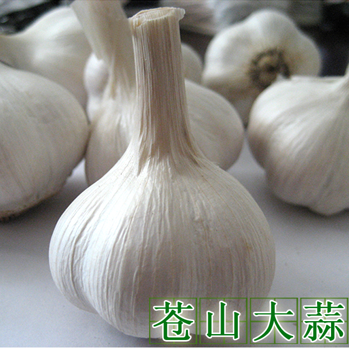 山东特产苍山大蒜500g 干蒜 蒜种子 蒜苗 蒜头 厨房佐料食材1斤装在类目 水产肉类/新鲜蔬果/熟食, 新鲜蔬菜/蔬菜制品, 大蒜中 - 来自Buy2taobao.com提供专业的淘宝代购服务