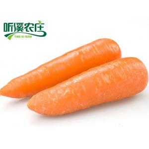  胡萝卜 250g/份 厦门听溪农庄有机种植蔬菜