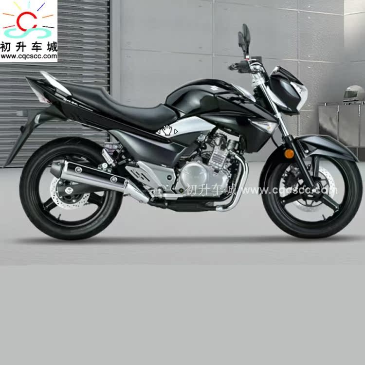 豪爵铃木 骊驰 GW250 摩托车 至尊跑车 碟刹 三