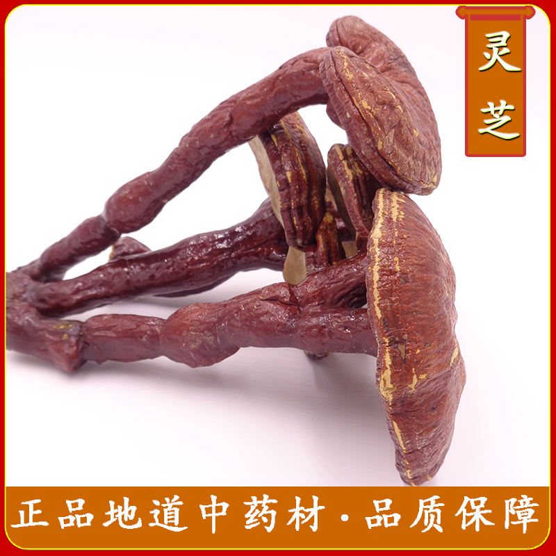 中药材长白山整个灵芝 赤灵芝 紫灵芝林芝灵芝草灵芝片 500克|ruв категории традиционные питательный пища, ганодерма, подрезка ганодерма - от Buy2taobao.com для оказания профессиональной услуги покупки агента Taobao