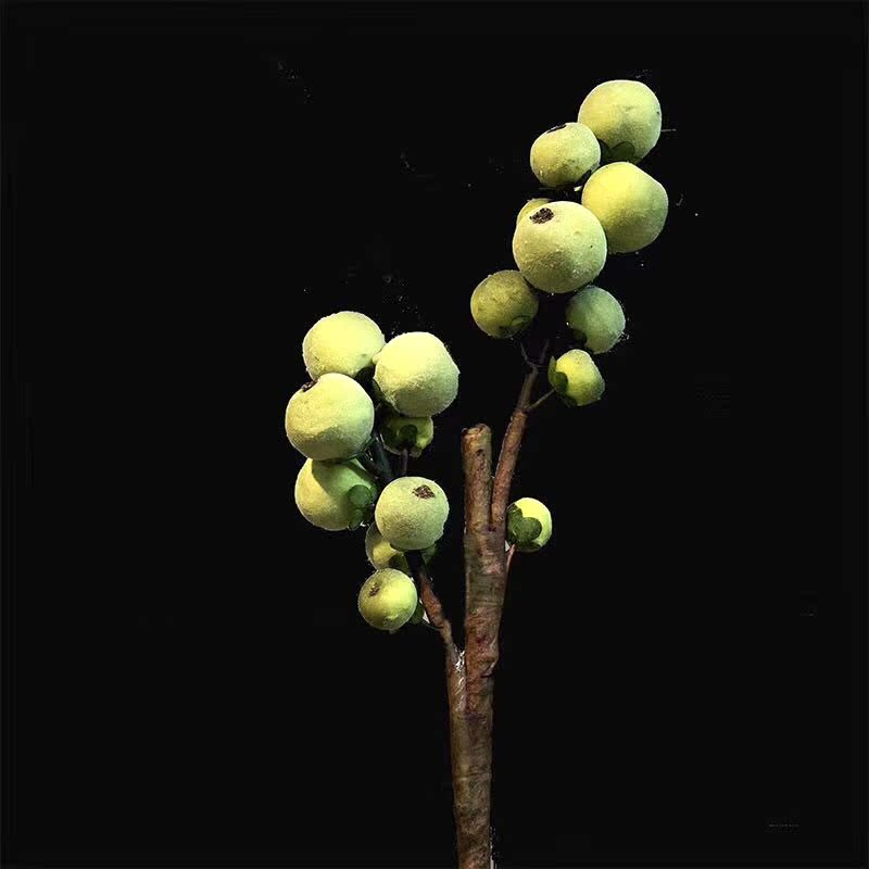 植毛仿真無花果小野果客廳裝飾高端中式花瓶裝飾花擺設攝影道具在類目 家居飾品, 花瓶/花器/仿真花/仿真飾品, 仿真花/假花中 - 來自Buy2taobao.com提供專業的淘寶代購服務