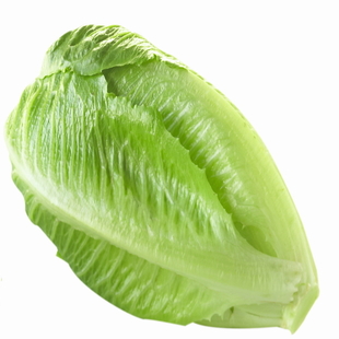 西餐配料 沙拉配菜 羅馬生菜 羅紋生菜 14.80/斤在類目 水產肉類/新鮮蔬果/熟食, 新鮮蔬菜/蔬菜製品, 新鮮蔬菜, 其它中 - 來自Buy2taobao.com提供專業的淘寶代購服務