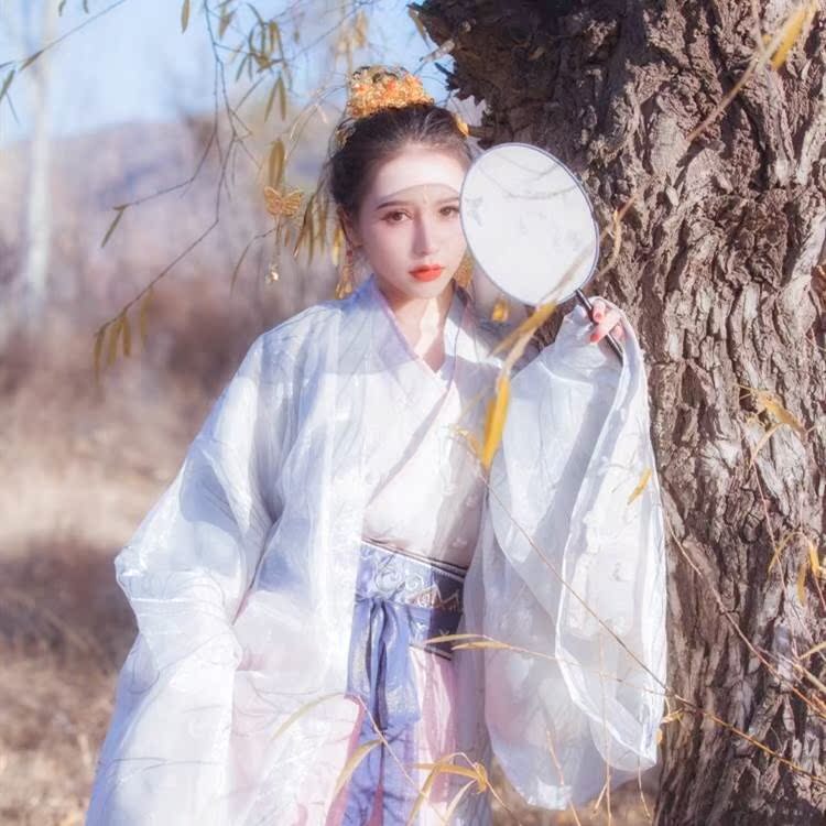 白芷春装女仙女魏晋风广袖流仙裙中国风古风套装学生改良襦裙在类目 女装/女士精品, 唐装/民族服装/舞台服装, 民族服装/舞台装中 - 来自Buy2taobao.com提供专业的淘宝代购服务