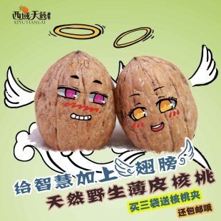  新疆核桃 薄皮核桃500g  零食新疆干果干货坚果批发 包邮