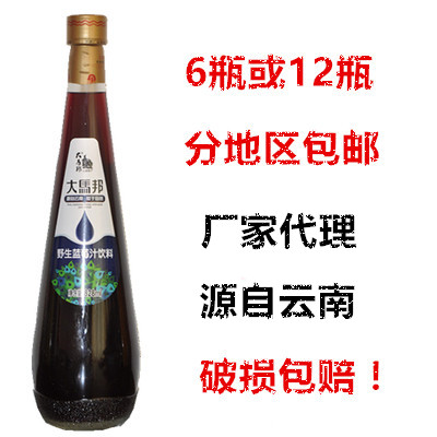 正品打折大马邦野生蓝莓果汁原浆大瓶饮料批发